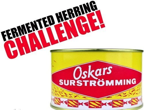 Suströmming challenge