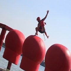 WipeOut!
