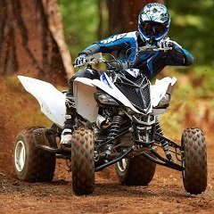 quad